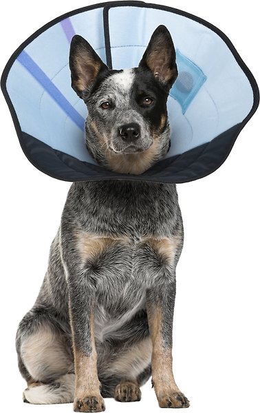 Show full view: Calm Paws Recovery Caring Dog Collar, Medium slide 3 of 4