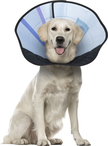 Show full view: Calm Paws Recovery Caring Dog Collar, Large slide 3 of 4