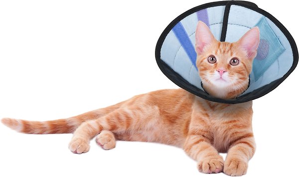 Show full view: Calm Paws Recovery Caring Cat Collar, X-Small slide 3 of 4