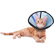 Show in main carousel: Calm Paws Recovery Caring Cat Collar, X-Small slide 3 of 4