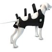 Show in main carousel: Calm Paws Calming Recovery Dog Vest, X-Small slide 5 of 10