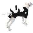 Show in main carousel: Calm Paws Calming Recovery Dog Vest, Large slide 6 of 10