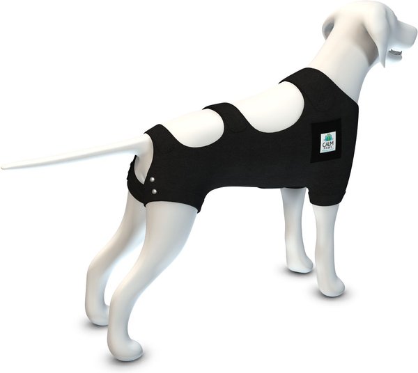 Show full view: Calm Paws Calming Recovery Dog Vest, Large slide 9 of 10