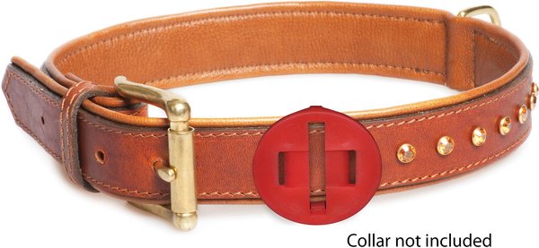 Show full view: Calm Paws Behavior Support Calming Disk Collar Attachment for Dogs slide 4 of 6