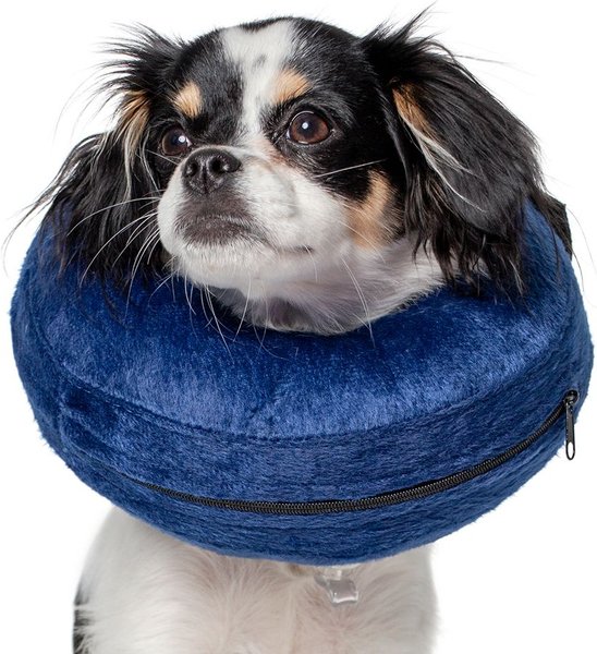 Show full view: Calm Paws Basic Inflatable Dog Collar, X-Small slide 3 of 5