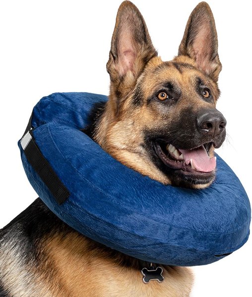 Show full view: Calm Paws Basic Inflatable Dog Collar, X-Large slide 3 of 5