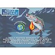 Show in main carousel: Kodiak Naturals Salmon Oil Dog & Cat Supplement, 32-oz bottle slide 4 of 9