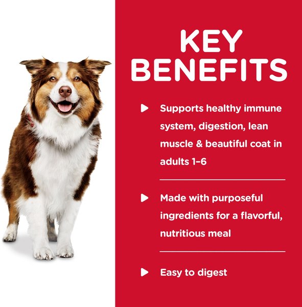 Show full view: Hill's Science Diet Adult Healthy Cuisine Roasted Chicken, Carrots & Spinach Stew Canned Dog Food, 354-g can, case of 12 slide 4 of 12