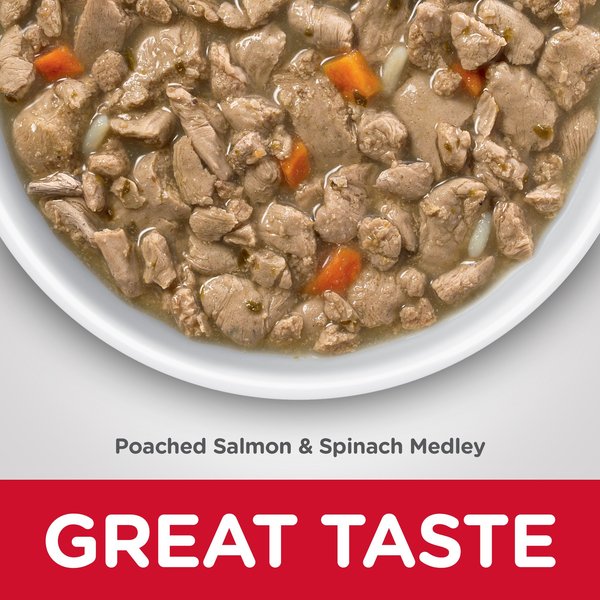 Show full view: Hill's Science Diet Adult Healthy Cuisine Poached Salmon & Spinach Medley Canned Cat Food, 79-g can, case of 24 slide 3 of 10