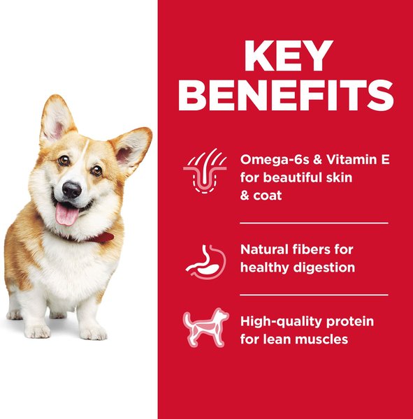 Show full view: Hill's Science Diet Adult Small Bites Chicken & Barley Recipe Dry Dog Food, 15.88-kg bag slide 3 of 10