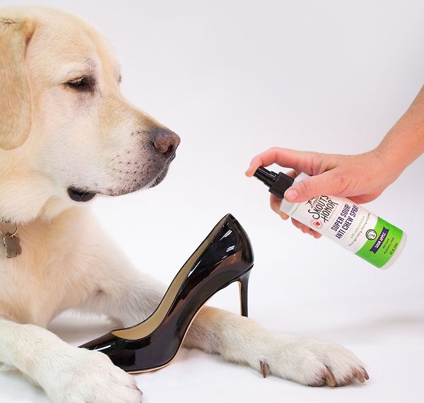Show full view: Skout's Honor Super Sour Anti Chew Dog & Cat Spray, 16-oz bottle slide 6 of 9