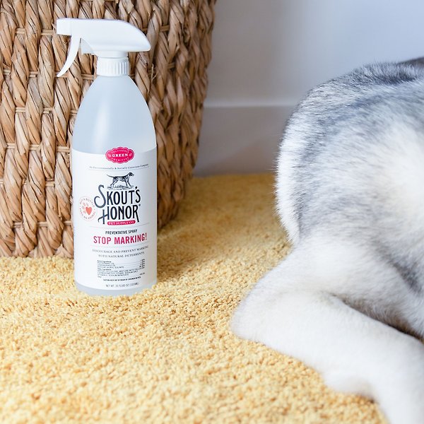 Show full view: Skout's Honor Stop Marking! Preventative Dog Spray, 35-oz bottle slide 5 of 7