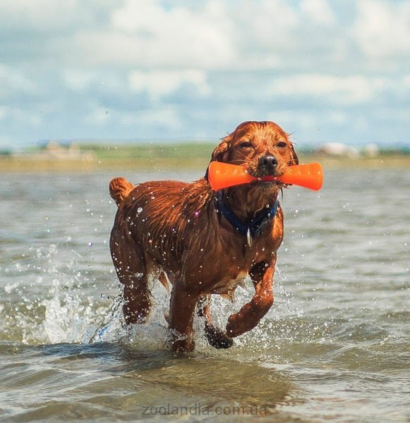 Show full view: Bionic Urban Stick Treat Dispensing Dog Toy, Large slide 7 of 10