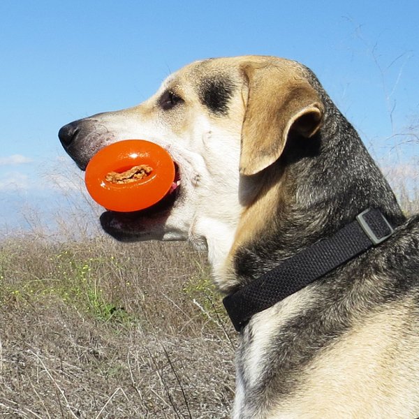 Show full view: Bionic Bone Treat Dispensing Dog Toy, Small slide 9 of 9