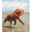 Show in main carousel: Bionic Toss-N-Tug Dog Toy, Large slide 5 of 10