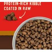 Show in main carousel: Stella & Chewy's Wild Red Raw Coated Kibble Grain-Free Prairie Recipe Dry Dog Food, 1.59-kg bag slide 3 of 10