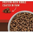 Show in main carousel: Stella & Chewy's Wild Red Raw Coated Kibble Grain-Free Red Meat Recipe Dry Dog Food, 9.53-kg bag slide 3 of 10