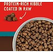 Show in main carousel: Stella & Chewy's Wild Red Raw Coated Kibble Grain-Free Ocean Recipe Dry Dog Food, 1.59-kg bag slide 3 of 9