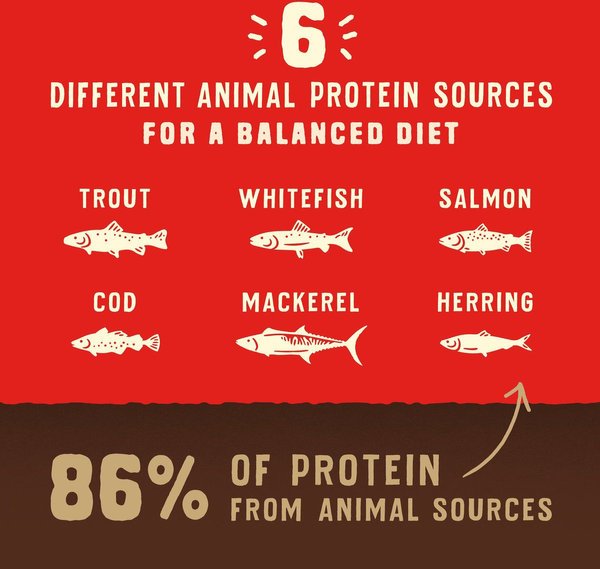 Show full view: Stella & Chewy's Wild Red Raw Coated Kibble Grain-Free Ocean Recipe Dry Dog Food, 1.59-kg bag slide 6 of 9