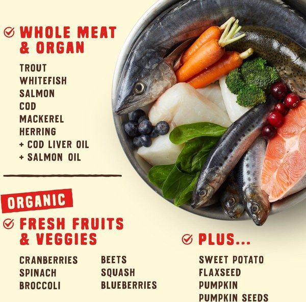 Show full view: Stella & Chewy's Wild Red Raw Coated Kibble Grain-Free Ocean Recipe Dry Dog Food, 9.53-kg bag slide 4 of 10