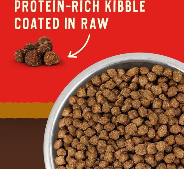 Show full view: Stella & Chewy's Wild Red Raw Coated Kibble Puppy Grain-Free Prairie Recipe Dry Dog Food, 9.53-kg bag slide 3 of 10
