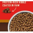 Show in main carousel: Stella & Chewy's Wild Red Raw Coated Kibble Puppy Grain-Free Prairie Recipe Dry Dog Food, 9.53-kg bag slide 3 of 10