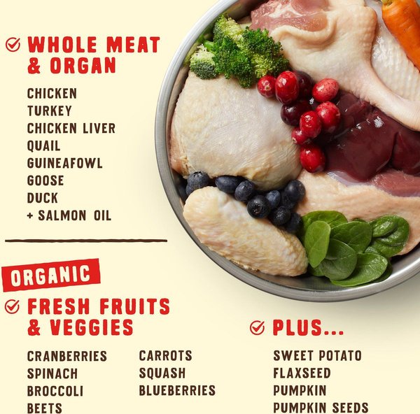 Show full view: Stella & Chewy's Wild Red Raw Coated Kibble Puppy Grain-Free Prairie Recipe Dry Dog Food, 9.53-kg bag slide 4 of 10