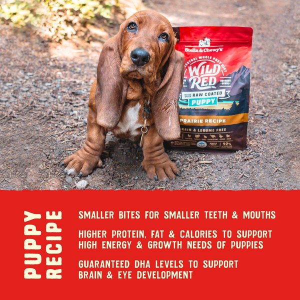 Show full view: Stella & Chewy's Wild Red Raw Coated Kibble Puppy Grain-Free Prairie Recipe Dry Dog Food, 9.53-kg bag slide 7 of 10