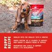 Show in main carousel: Stella & Chewy's Wild Red Raw Coated Kibble Puppy Grain-Free Prairie Recipe Dry Dog Food, 9.53-kg bag slide 7 of 10