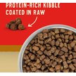 Show in main carousel: Stella & Chewy's Wild Red Raw Coated Kibble Wholesome Grains Prairie Recipe Dry Dog Food, 1.59-kg bag slide 3 of 10