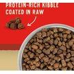 Show in main carousel: Stella & Chewy's Wild Red Raw Coated Kibble Wholesome Grains Red Meat Recipe Dry Dog Food, 9.53-kg bag slide 3 of 10