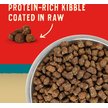 Show in main carousel: Stella & Chewy's Wild Red Raw Coated Kibble Wholesome Grains Ocean Recipe Dry Dog Food, 9.53-kg bag slide 3 of 10