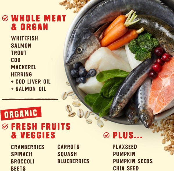 Show full view: Stella & Chewy's Wild Red Raw Coated Kibble Wholesome Grains Ocean Recipe Dry Dog Food, 9.53-kg bag slide 4 of 10