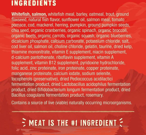 Show full view: Stella & Chewy's Wild Red Raw Coated Kibble Wholesome Grains Ocean Recipe Dry Dog Food, 9.53-kg bag slide 5 of 10