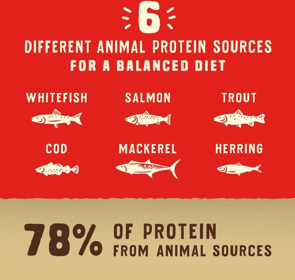 Show full view: Stella & Chewy's Wild Red Raw Coated Kibble Wholesome Grains Ocean Recipe Dry Dog Food, 9.53-kg bag slide 6 of 10