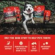 Show in main carousel: Stella & Chewy's Wild Red Raw Blend Kibble Grain-Free Prairie Recipe Dry Dog Food, 1.59-kg bag slide 8 of 10