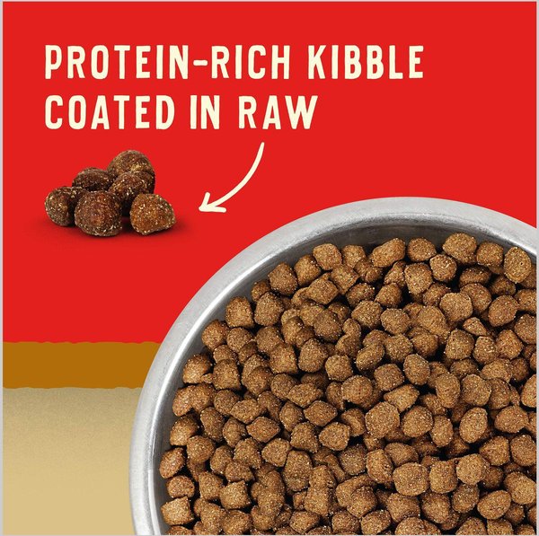 Show full view: Stella & Chewy's Puppy Prairie Recipe Wild Red Raw Coated High Protein Wholesome Grains Dry Dog Food, 9.53-kg bag slide 3 of 10