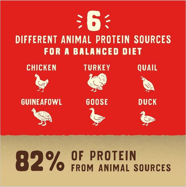 Show full view: Stella & Chewy's Puppy Prairie Recipe Wild Red Raw Coated High Protein Wholesome Grains Dry Dog Food, 9.53-kg bag slide 6 of 10