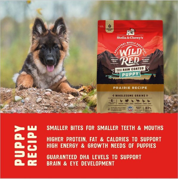 Show full view: Stella & Chewy's Puppy Prairie Recipe Wild Red Raw Coated High Protein Wholesome Grains Dry Dog Food, 9.53-kg bag slide 7 of 10