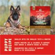 Show in main carousel: Stella & Chewy's Puppy Prairie Recipe Wild Red Raw Coated High Protein Wholesome Grains Dry Dog Food, 9.53-kg bag slide 7 of 10