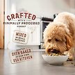 Show in main carousel: Stella & Chewy's SuperBlends Raw Coated Wholesome Grains Grass-Fed Beef, Beef Liver & Lamb Recipe with Superfoods Dry Dog Food, 9.53-kg bag slide 4 of 10