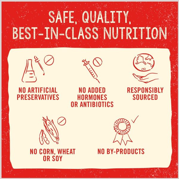 Show full view: Stella & Chewy's Freeze-Dried Grain-Free Protein Rich Recipe Raw Dandy Lamb Meal Mixer Dog Food Topper, 35-oz bag slide 8 of 9