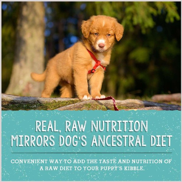 Show full view: Stella & Chewy's Freeze-Dried Raw Meal Mixers Grain-Free Protein Rich Beef & Salmon Recipe Dog Food, 18-oz bag slide 6 of 9