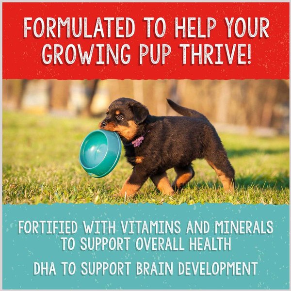 Show full view: Stella & Chewy's Freeze-Dried Raw Meal Mixers Grain-Free Protein Rich Beef & Salmon Recipe Dog Food, 18-oz bag slide 7 of 9