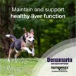 Show in main carousel: Nutramax Denamarin with S-Adenosylmethionine & Silybin Tablets Liver Supplement for Medium Dogs, 30 count slide 3 of 7