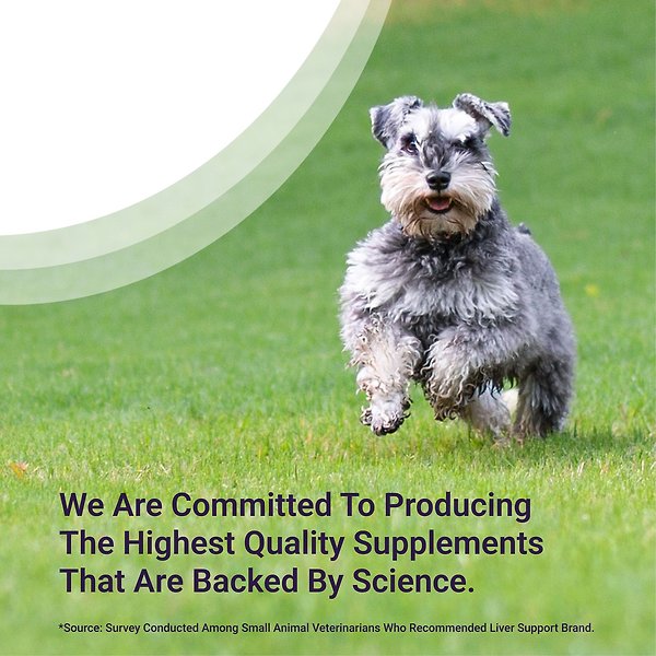 Show full view: Nutramax Denamarin with S-Adenosylmethionine & Silybin Tablets Liver Supplement for Medium Dogs, 30 count slide 5 of 7