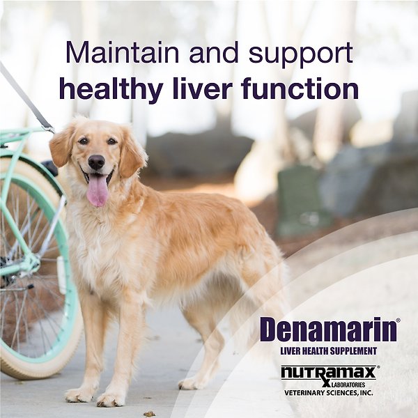 Show full view: Nutramax Denamarin with S-Adenosylmethionine & Silybin Tablet Liver Supplement for Large Dogs, 30 count slide 3 of 8