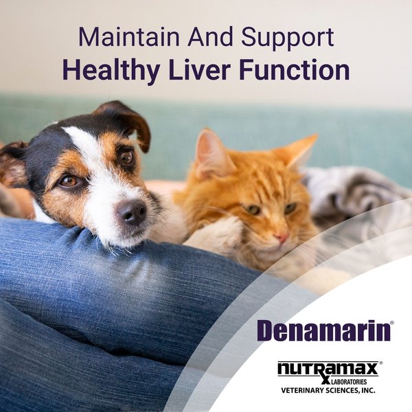 Show full view: Nutramax Denamarin with S-Adenosylmethionine & Silybin Tablets Liver Supplement for Small Dogs & Cats, 30 count slide 3 of 7