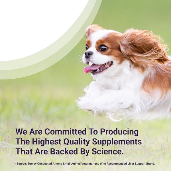 Show full view: Nutramax Denamarin with S-Adenosylmethionine & Silybin Tablets Liver Supplement for Small Dogs & Cats, 30 count slide 4 of 7