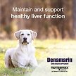 Show in main carousel: Nutramax Denamarin with S-Adenosylmethionine & Silybin Chewable Tablets Liver Supplement for Dogs, 30 count slide 4 of 7